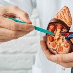 7 Penyebab Gagal Ginjal di Usia Muda, Kurang Minum Air Putih hingga Konsumsi Alkohol