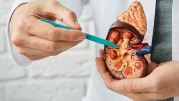 7 Penyebab Gagal Ginjal di Usia Muda, Kurang Minum Air Putih hingga Konsumsi Alkohol