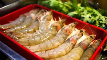 Kamu Sudah Tahu? Ini 5 Kesalahan Umum Memasak Udang yang Perlu Dihindari