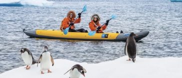 8 Alasan Wajib Traveling ke Antartika Meski Sekali Seumur Hidup