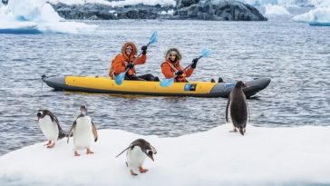 8 Alasan Wajib Traveling ke Antartika Meski Sekali Seumur Hidup