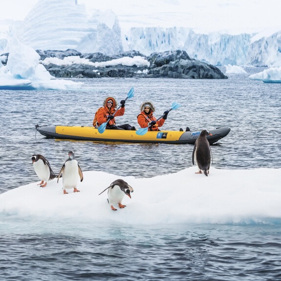 8 Alasan Wajib Traveling ke Antartika Meski Sekali Seumur Hidup