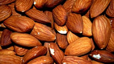 Makan Kacang Almond Dengan atau Tanpa Kulit, Mana Lebih Baik?