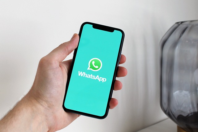 Inilah 5 Negara dengan Pengguna WhatsApp Terbanyak di Dunia