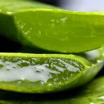 5 Manfaat Minum Jus Lidah Buaya Tiap Pagi, Rahasia Sehat dan Cantik Alami