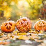 https://gaya.tempo.co/read/1935666/mengapa-halloween-identik-dengan-buah-labu-bukan-tanaman-lain?tracking_page_direct_mobile