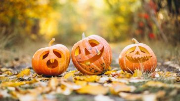 https://gaya.tempo.co/read/1935666/mengapa-halloween-identik-dengan-buah-labu-bukan-tanaman-lain?tracking_page_direct_mobile