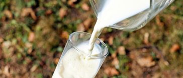 Ini 4 Alternatif Pengganti Susu Sapi Bagi yang Intoleransi Laktosa