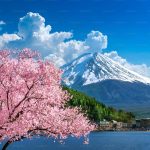 Pertama Kalinya dalam 130 Tahun Puncak Gunung Fuji Tak Bersalju, Ahli Ungkap Penyebabnya!