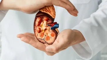 Inilah 4 Gejala Kanker Ginjal yang Perlu Diwaspadai