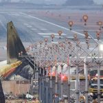 Bandara Muan Punya Tingkat Serangan Burung yang Tinggi, Apa Sebabnya?