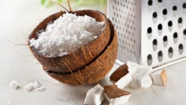 6 Manfaat Ampas Kelapa yang Belum Banyak Diketahui Orang