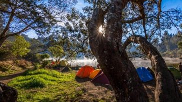 Punya Rencana Kemping di Ranu Regulo Gunung Bromo? Segini Harga Tiketnya