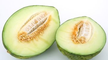 5 Makanan dan Minuman Ini Tidak Boleh Dikonsumsi Bersama Melon