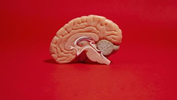 6 Kebiasaan Buruk Ini Bisa Bikin IQ Turun & Otak Tumpul, Apa Saja?