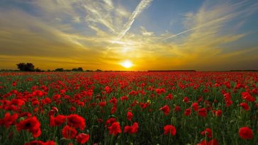 Kenali 6 Ciri-Ciri Tubuh Kekurangan Sinar Matahari, Apa Saja?