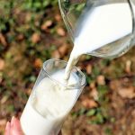 Selain Susu, Inilah 5 Makanan yang Baik untuk Kesehatan Tulang