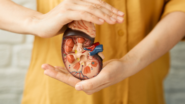 Sering Diabaikan, Inilah 10 Ciri Ginjal Bermasalah yang Perlu Diketahui