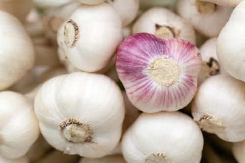 Inilah 10 Superfood Khas Indonesia yang Sering Dimakan Sehari-hari