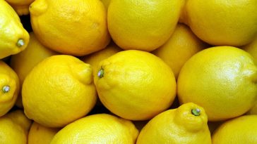 Lemon Bisa Turunkan Gula Darah Tinggi, Mitos atau Fakta?