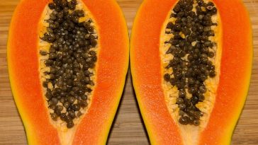 5 Manfaat dan Cara Gunakan Pepaya untuk Nutrisi Kulit
