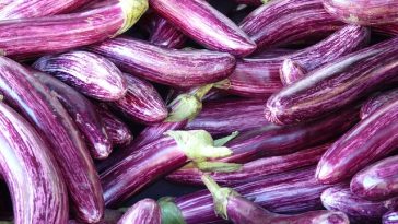 7 Sayuran Ini Bisa Bantu Turunkan Kolesterol, Ada Terong!