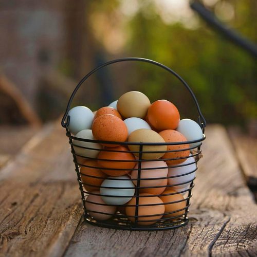 7 Makanan Ini Tidak Boleh Dikonsumsi Secara Mentah, Bisa Picu Penyakit!