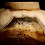 5 Khasiat Teh Fermentasi Kombucha yang Perlu Diketahui