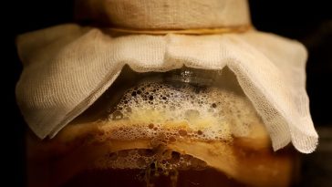 5 Khasiat Teh Fermentasi Kombucha yang Perlu Diketahui