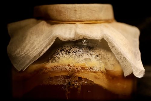 5 Khasiat Teh Fermentasi Kombucha yang Perlu Diketahui