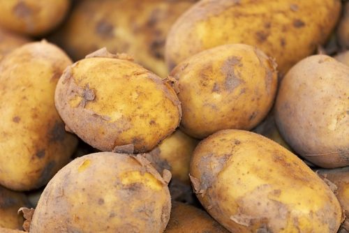 7 Makanan Ini Tidak Boleh Dikonsumsi Secara Mentah, Bisa Picu Penyakit!