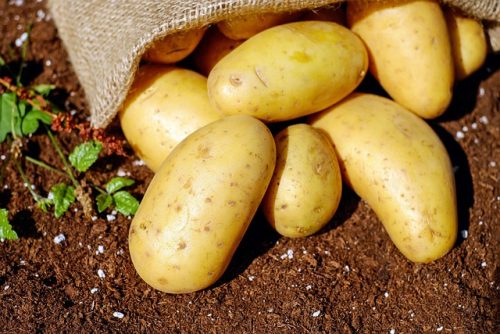 Jangan Dibuang! 5 Kulit Buah dan Sayur Ini Bagus untuk Jaga Pencernaan