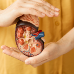 Jangan Dilakukan! 7 Kebiasaan Ini Bisa Bikin Ginjal Rusak