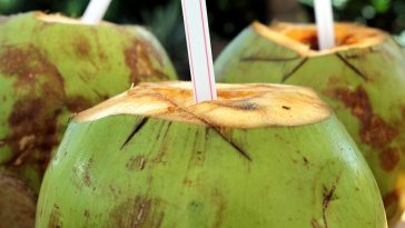 5 Manfaat Minum Air Kelapa Pagi Hari, Detoks Tubuh hingga Perbaiki Tekstur Kulit