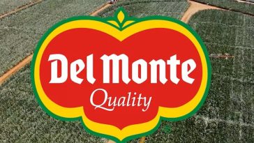 Del Monte Resmi Ajukan Kebangkrutan Usai 138 Tahun Berdiri, Terlilit Utang Rp162 T