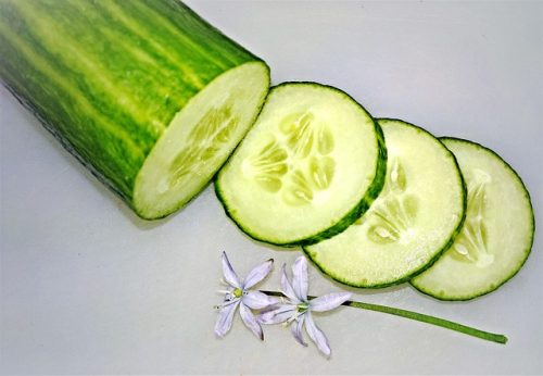 3 Jenis Makanan Ini Bisa Bantu Tingkatkan Fungsi Ginjal