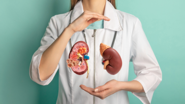 3 Jenis Makanan Ini Bisa Bantu Tingkatkan Fungsi Ginjal [Foto via urologyexpert.id]