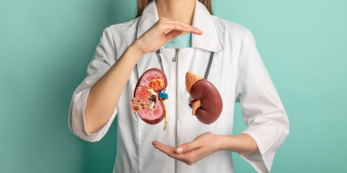 3 Jenis Makanan Ini Bisa Bantu Tingkatkan Fungsi Ginjal [Foto via urologyexpert.id]
