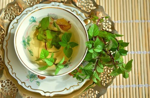 10 Bahan Alami yang Bisa Bantu Atasi Masalah Keracunan Makanan