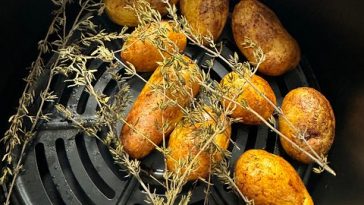 5 Jenis Makanan Ini Tidak Boleh Dimasak Pakai Air Fryer