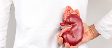 Jangan Anggap Remeh, 5 Kebiasaan Ini Bisa Sebabkan Gagal Ginjal