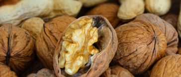 5 Makanan Ini Bisa Bantu Tingkatkan Kesehatan Otak, Konsumsilah Rutin!