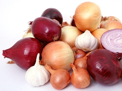 5 Daftar Makanan Ini Bisa Bikin Kulkas Jadi Bau, Apa Saja?