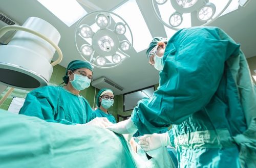 Ilmuwan China Transplantasi Paru-paru Babi ke Manusia untuk Pertama Kalinya, Hasilnya?