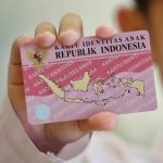 Apa Itu KTP Pink dan Bedanya dengan KTP Biru? Simak Penjelasannya