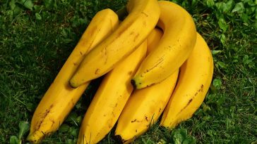 Ini 5 Manfaat Konsumsi Satu Buah Pisang Sebelum Tidur, Apa Saja?