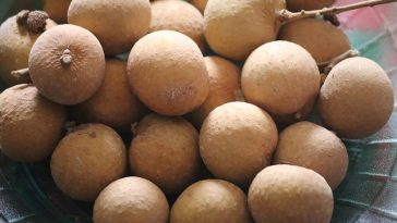 Ini 5 Manfaat Buah Kelengkeng untuk Kesehatan Tubuh, Apa Saja?