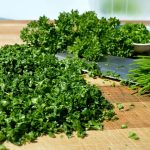 5 Manfaat Peterseli untuk Kesehatan Tubuh, Termasuk Cegah Kanker!