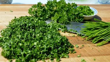 5 Manfaat Peterseli untuk Kesehatan Tubuh, Termasuk Cegah Kanker!