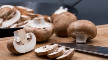 Wajib Tahu, Ini Manfaat 5 Jenis Jamur untuk Kesehatan